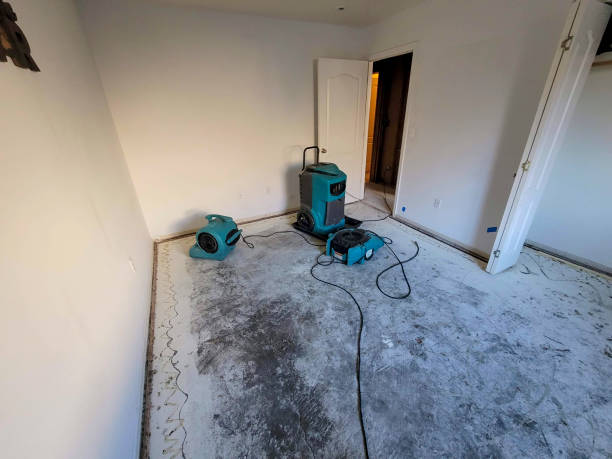 Water damage restoration mold remediation in Whitinsville, MA