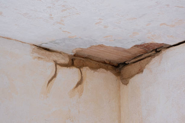 Best Residential water damage restoration  in Whitinsville, MA