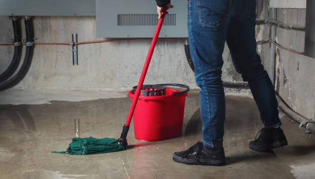 Best Flooded house restoration  in Whitinsville, MA