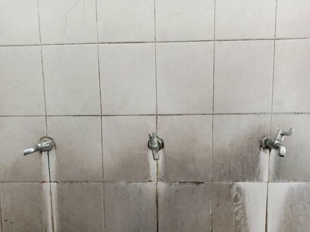 Best 24-hour water damage restoration  in Whitinsville, MA