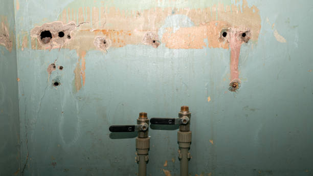 Best Water damage restoration company  in Whitinsville, MA
